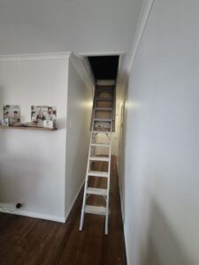 5 Benefits of Pull-Down Ladder in Your Attic